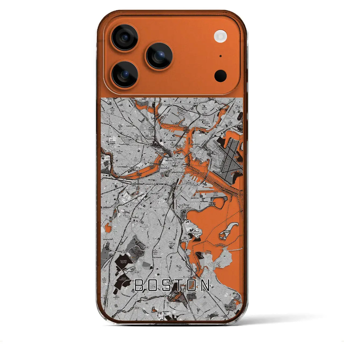 【ボストン（アメリカ）】地図柄iPhoneケース（クリアタイプ）モノトーン・iPhone 17 Pro Max 用