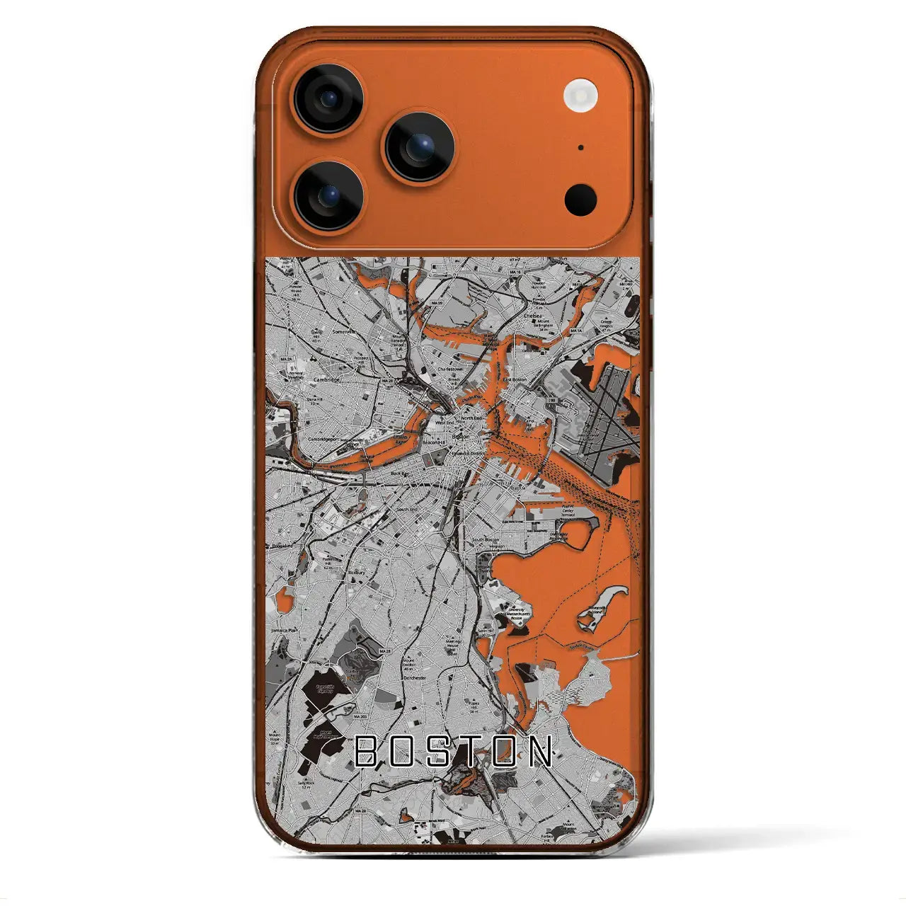 【ボストン（アメリカ）】地図柄iPhoneケース（クリアタイプ）モノトーン・iPhone 17 Pro Max 用