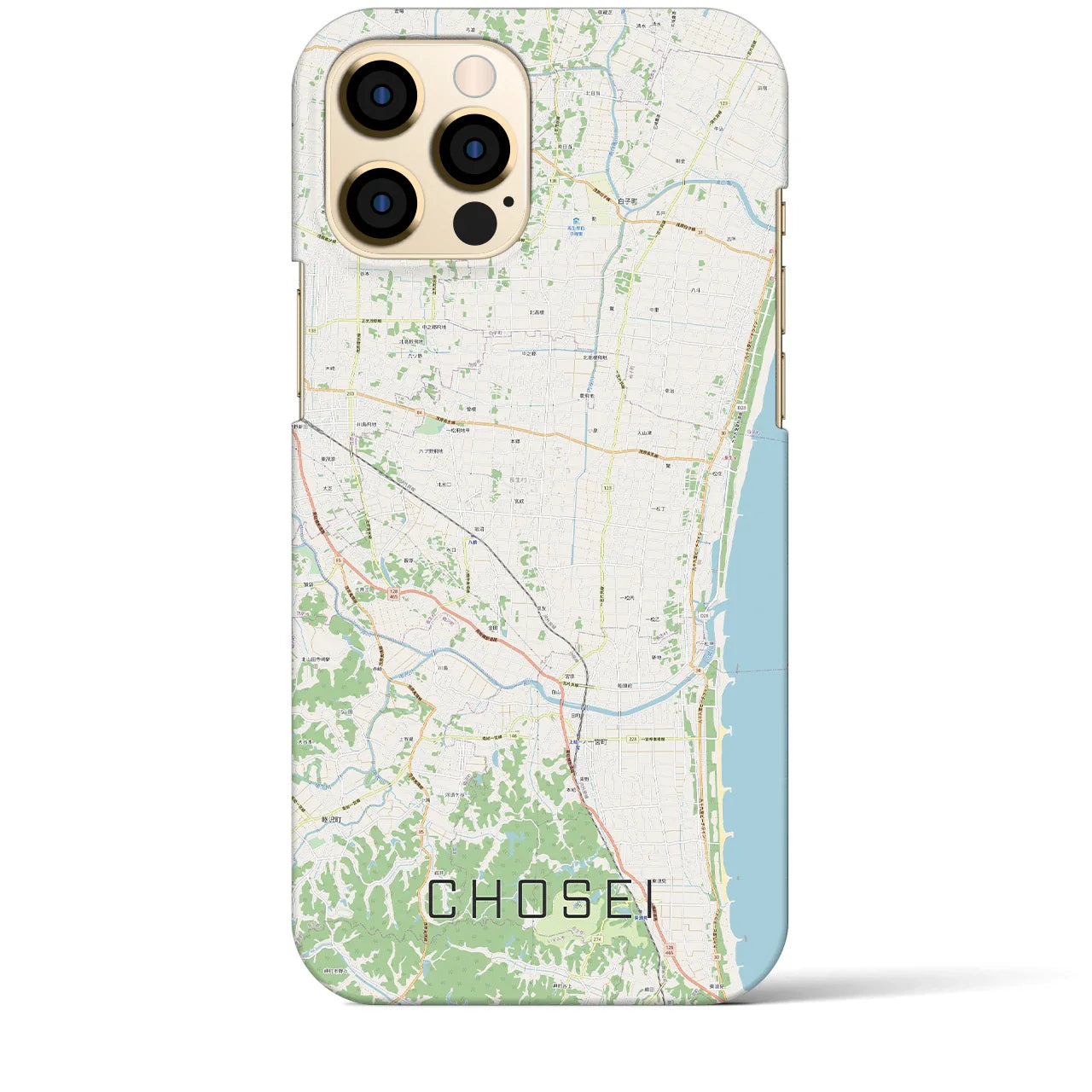 【長生（千葉県）】地図柄iPhoneケース（バックカバータイプ）