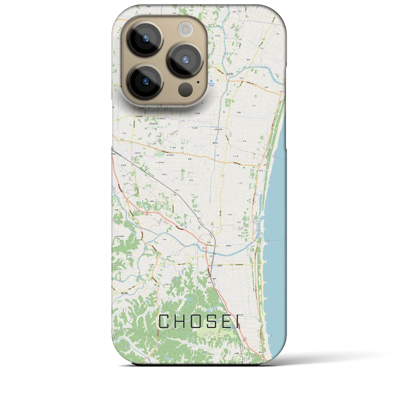 【長生（千葉県）】地図柄iPhoneケース（バックカバータイプ）