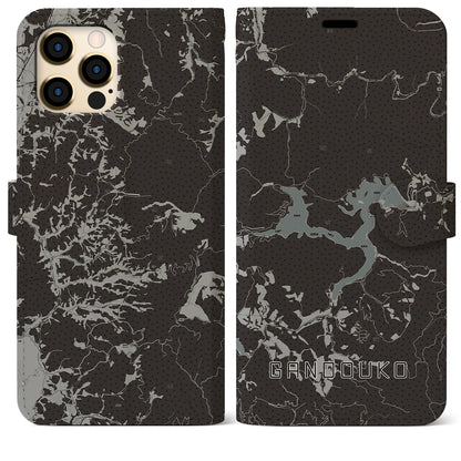 【岩洞湖（岩手県）】地図柄iPhoneケース（手帳タイプ）モノトーン・iPhone 12 Pro Max 用