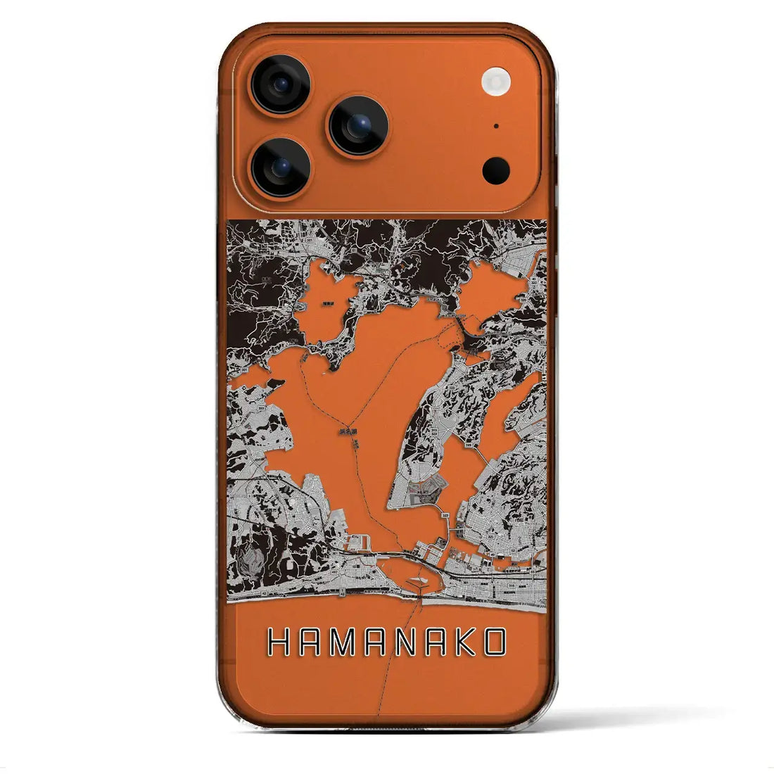 【浜名湖(静岡県)】地図柄iPhoneケース(クリアタイプ)モノトーン・iPhone 17 Pro Max 用