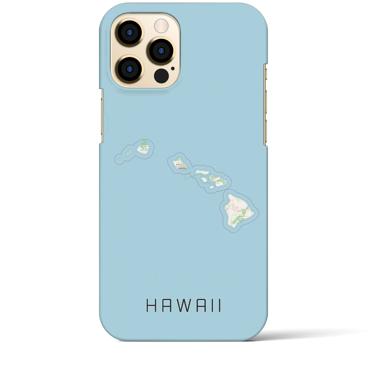 【ハワイ（アメリカ）】地図柄iPhoneケース（バックカバータイプ）ナチュラル・iPhone 12 Pro Max 用