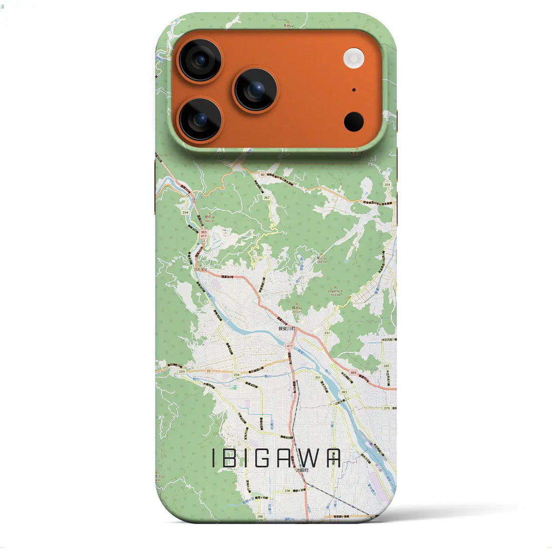【揖斐川（岐阜県）】地図柄iPhoneケース（バックカバータイプ）ナチュラル・iPhone 17 Pro Max 用