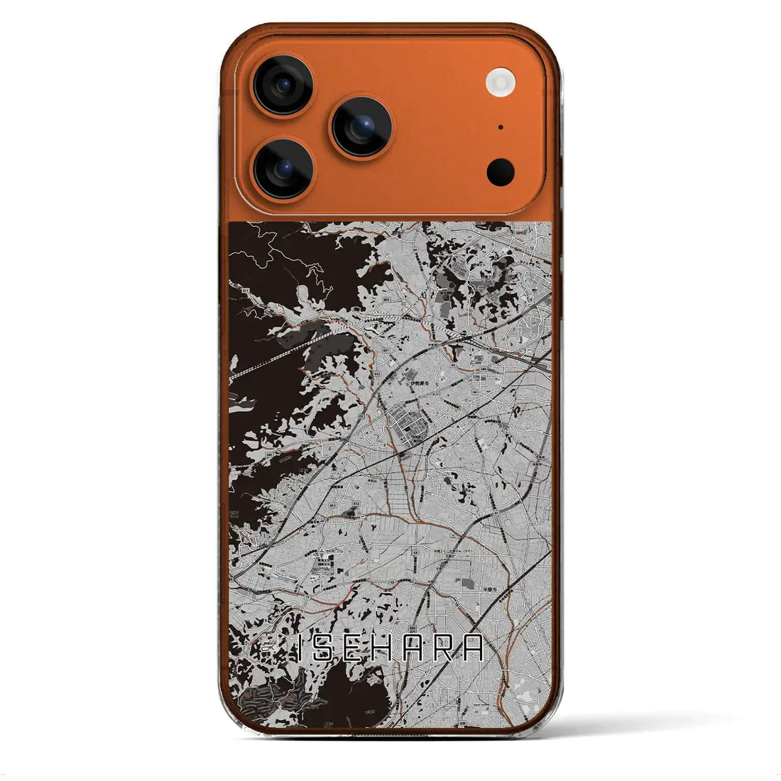 【伊勢原(神奈川県)】地図柄iPhoneケース(クリアタイプ)モノトーン・iPhone 17 Pro Max 用