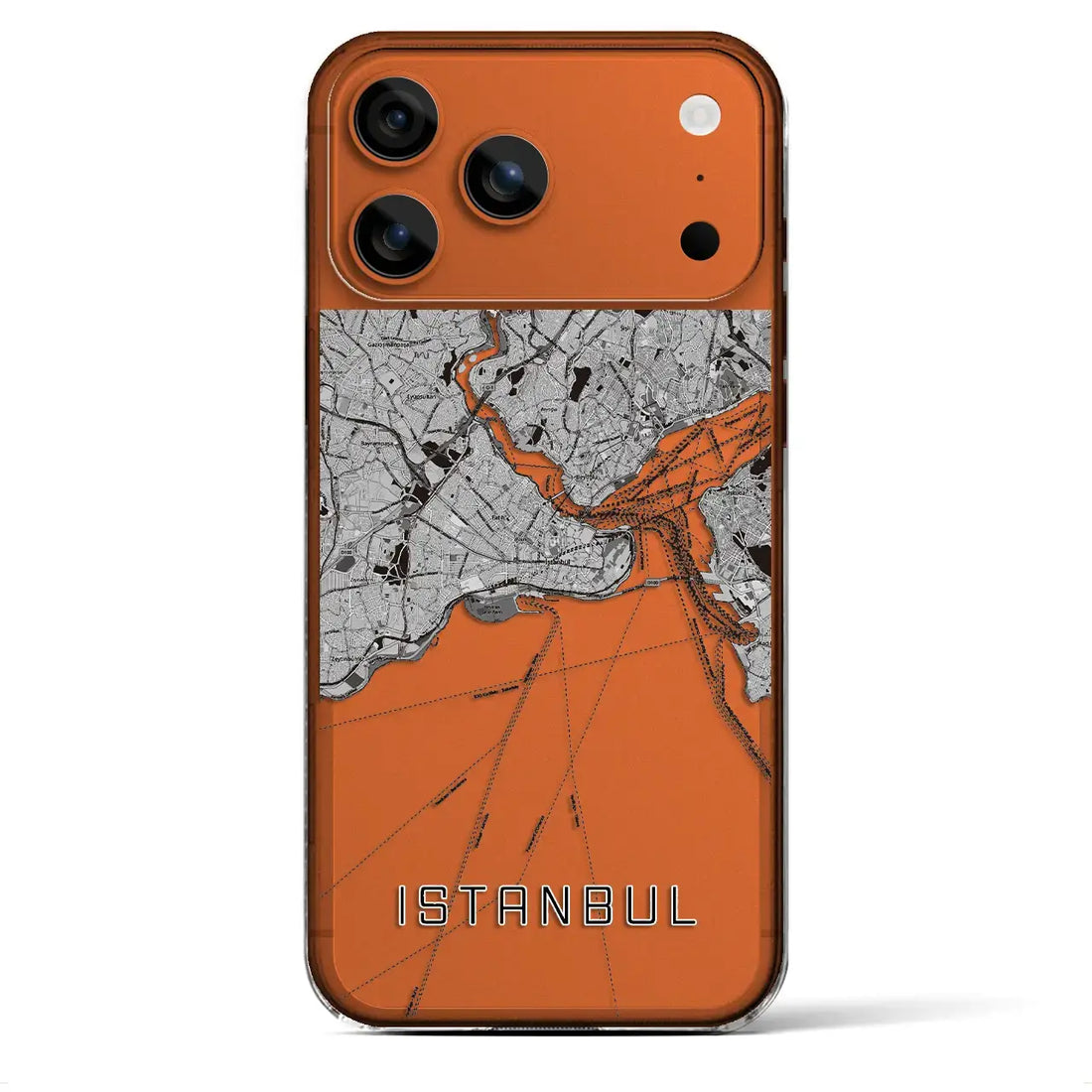 【イスタンブール(トルコ)】地図柄iPhoneケース(クリアタイプ)モノトーン・iPhone 17 Pro Max 用