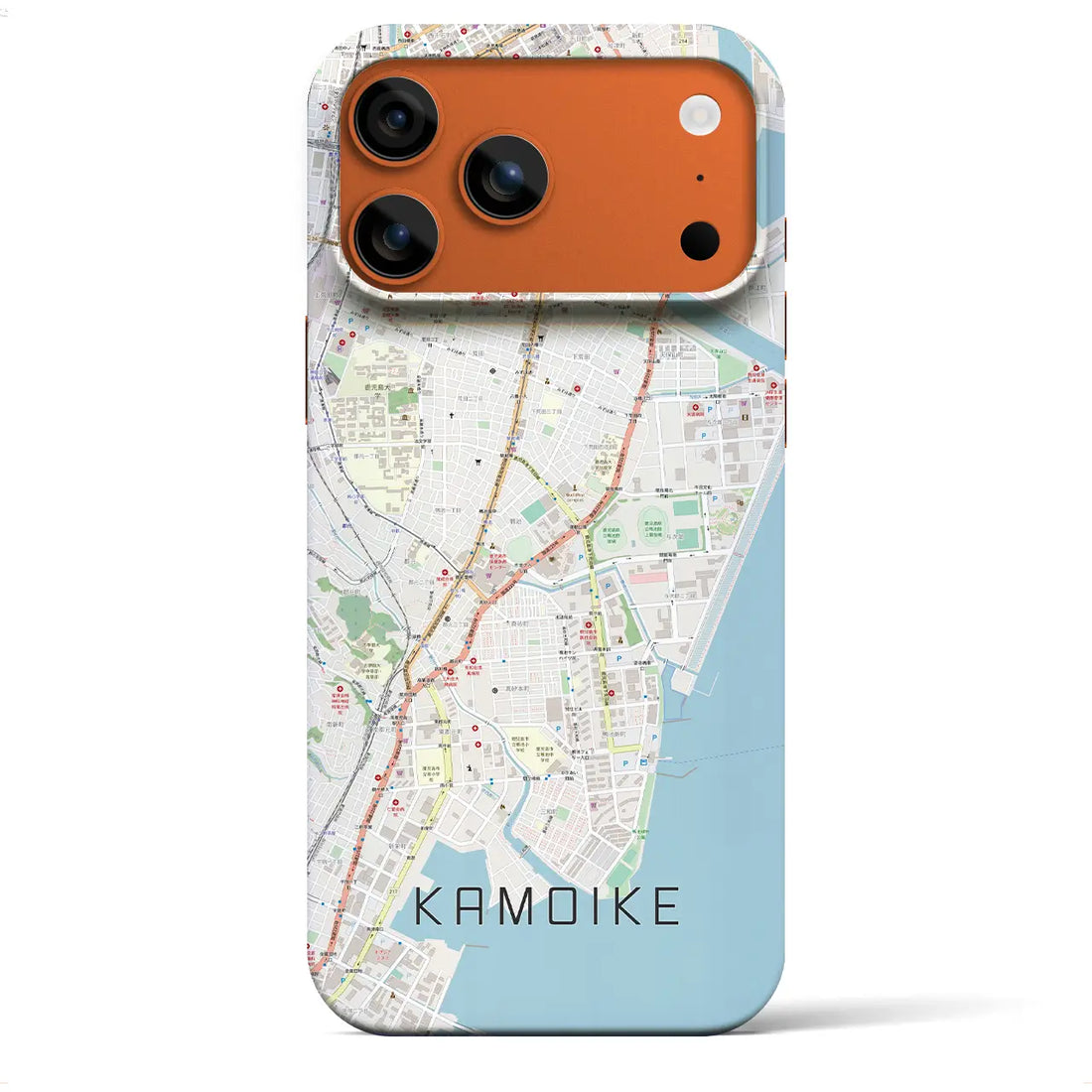 【鴨池(鹿児島県)】地図柄iPhoneケース(バックカバータイプ)ナチュラル・iPhone 17 Pro Max 用