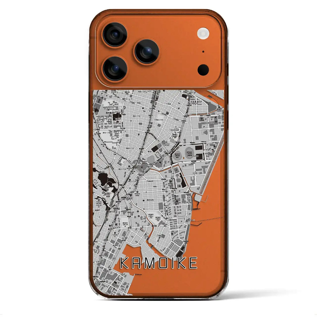 【鴨池(鹿児島県)】地図柄iPhoneケース(クリアタイプ)モノトーン・iPhone 17 Pro Max 用