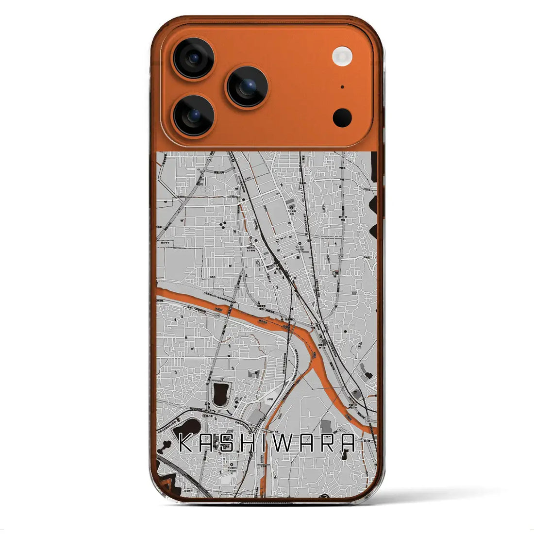 【柏原(大阪府)】地図柄iPhoneケース(クリアタイプ)モノトーン・iPhone 17 Pro Max 用