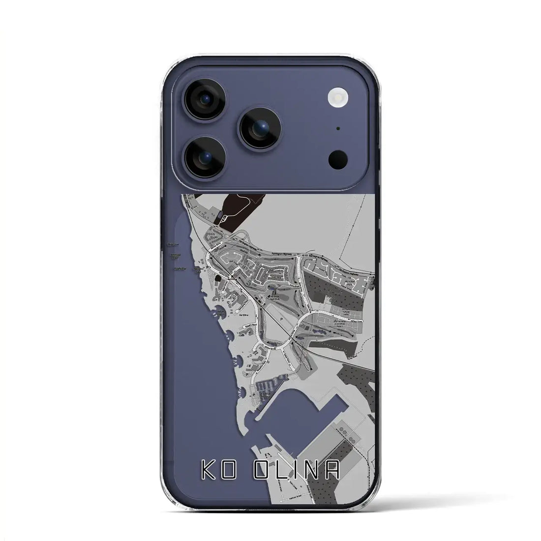 【コオリナ（アメリカ）】地図柄iPhoneケース（クリアタイプ）モノトーン・iPhone 17 Pro Max 用