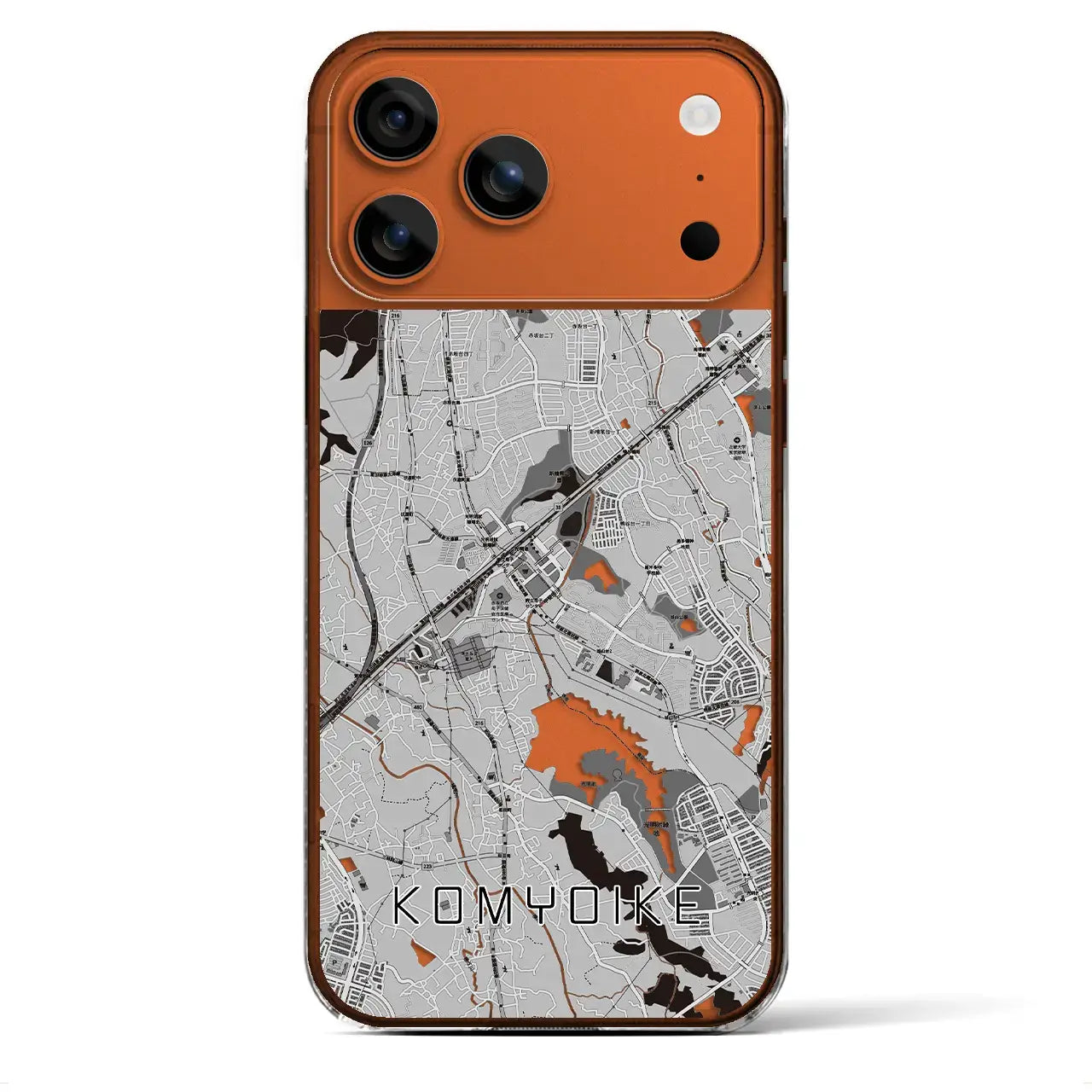 【光明池（大阪府）】地図柄iPhoneケース（クリアタイプ）モノトーン・iPhone 17 Pro Max 用