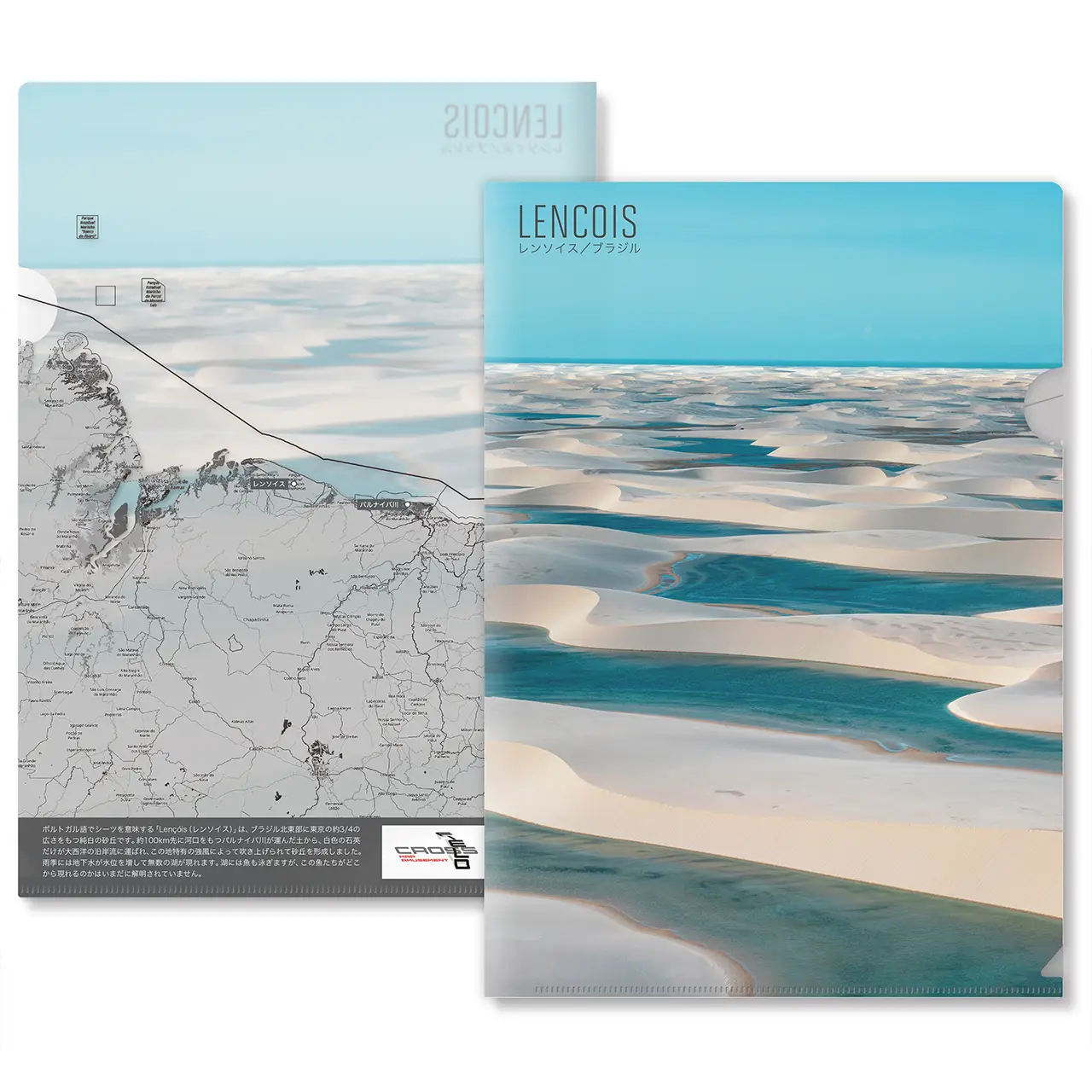 【Map World】クリアファイル12枚セットE