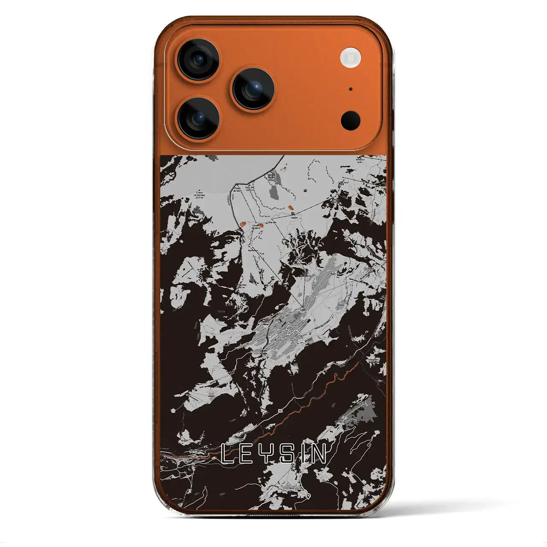 【レザン(スイス)】地図柄iPhoneケース(クリアタイプ)モノトーン・iPhone 17 Pro Max 用