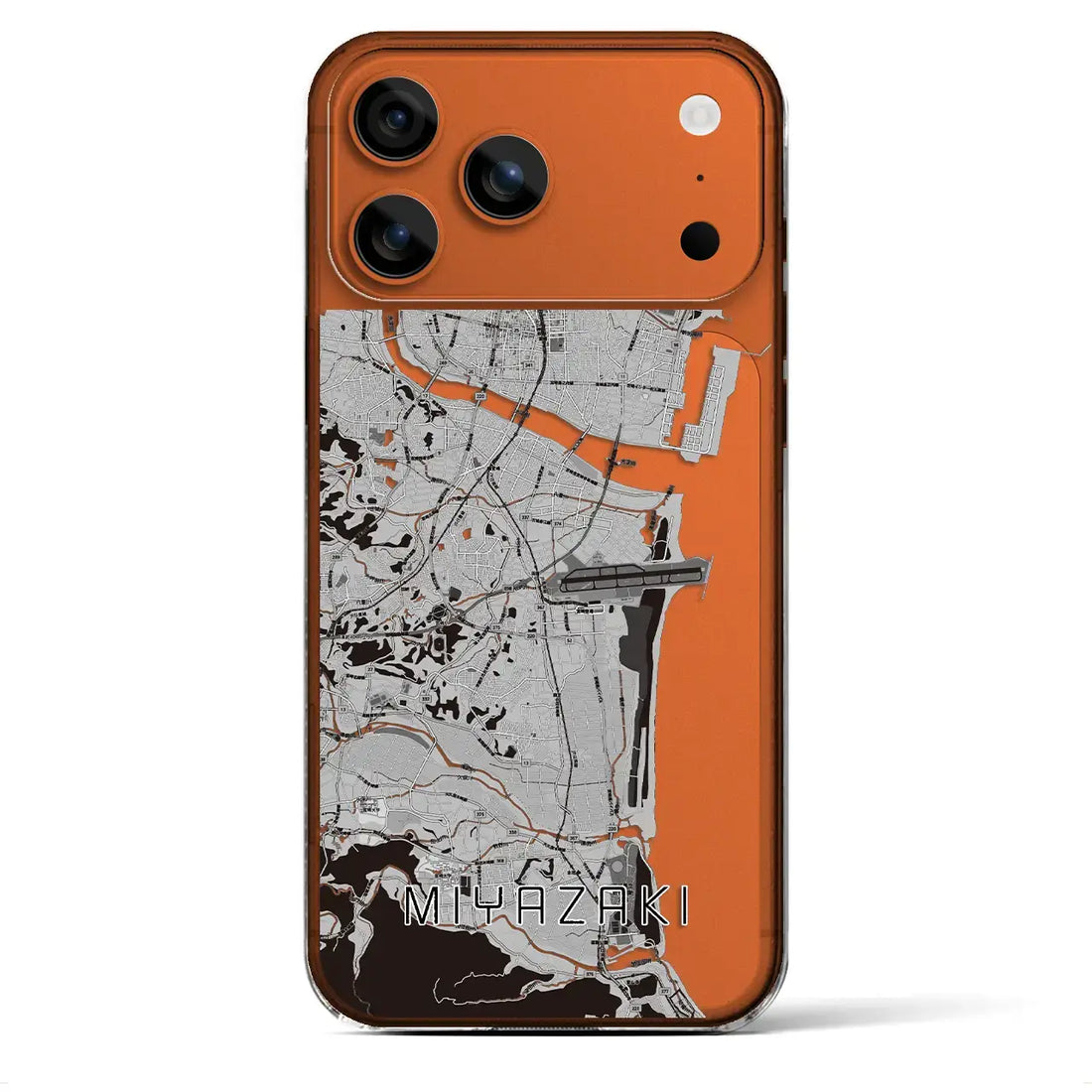 【宮崎(宮崎県)】地図柄iPhoneケース(クリアタイプ)モノトーン・iPhone 17 Pro Max 用