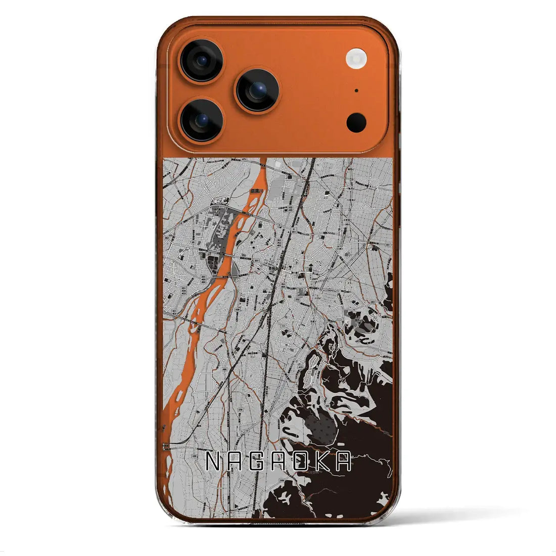 【長岡（新潟県）】地図柄iPhoneケース（クリアタイプ）モノトーン・iPhone 17 Pro Max 用