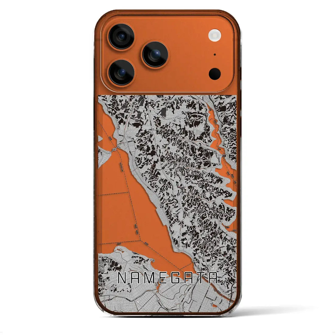 【行方（茨城県）】地図柄iPhoneケース（クリアタイプ）モノトーン・iPhone 17 Pro Max 用