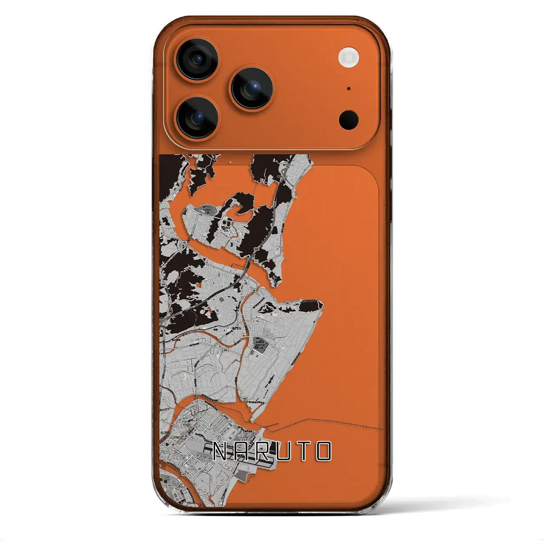 【鳴門(徳島県)】地図柄iPhoneケース(クリアタイプ)モノトーン・iPhone 17 Pro Max 用