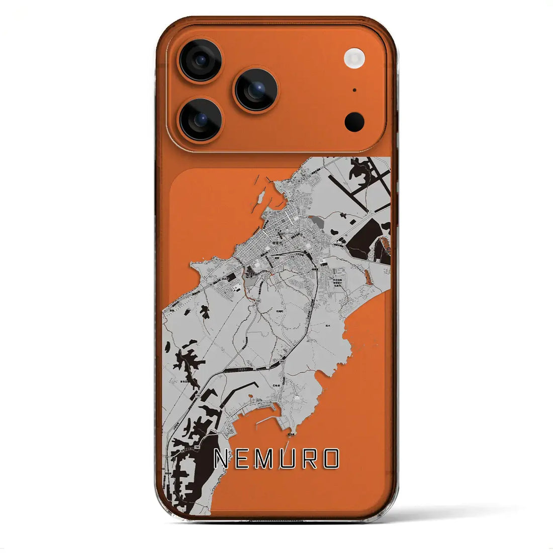 【根室（北海道）】地図柄iPhoneケース（クリアタイプ）モノトーン・iPhone 17 Pro Max 用