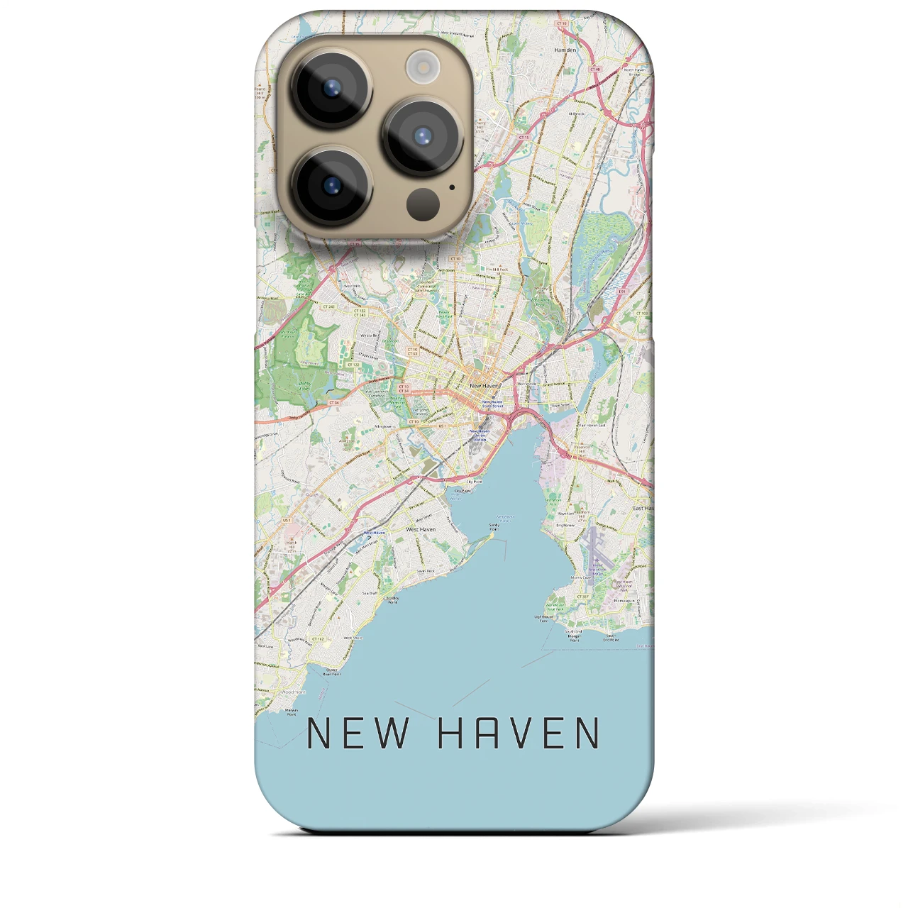 【ニューヘイブン】地図柄iPhoneケース（バックカバータイプ・ナチュラル）iPhone 14 Pro Max 用