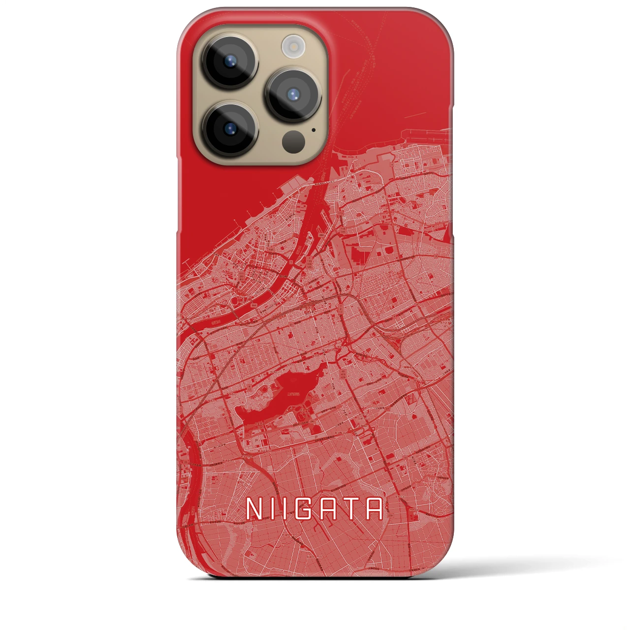 【新潟（新潟県）】初売り限定iPhoneケース（バックカバータイプ）