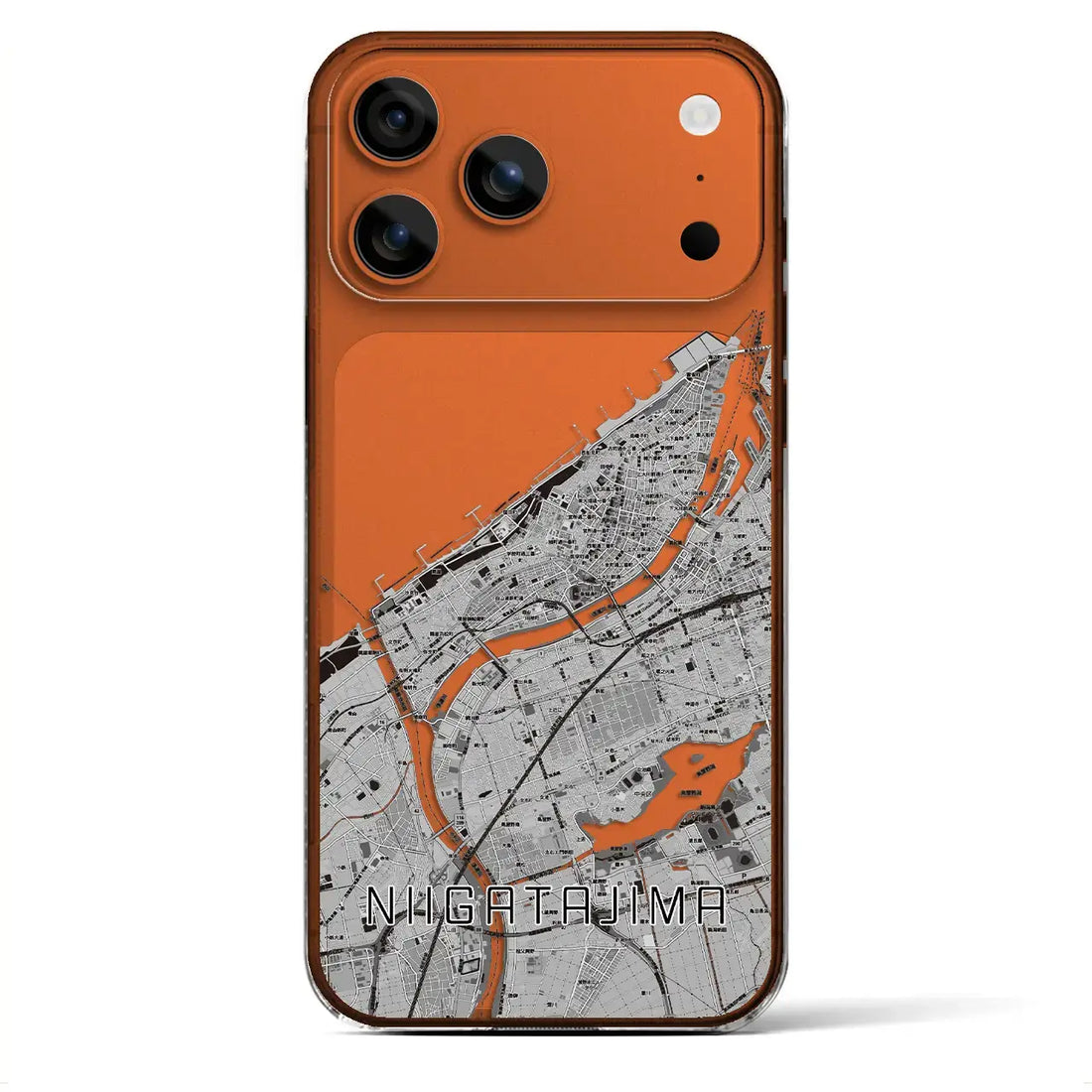 【新潟島（新潟県）】地図柄iPhoneケース（クリアタイプ）モノトーン・iPhone 17 Pro Max 用