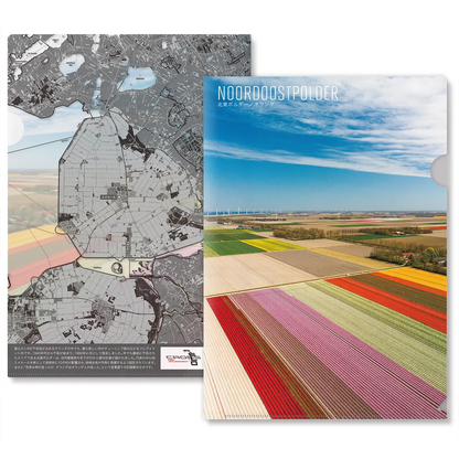 【Map World】クリアファイル12枚セットE