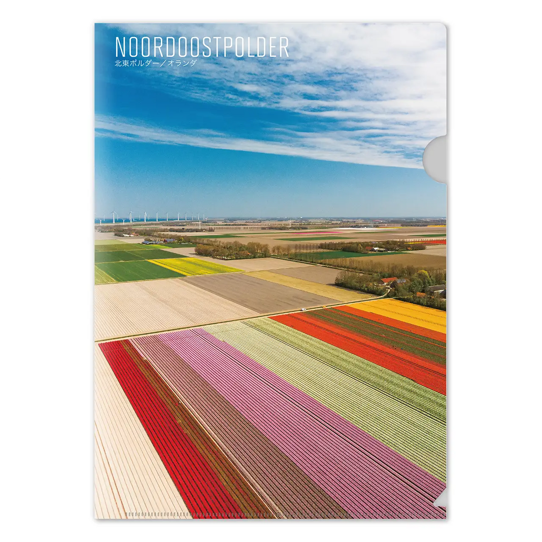 【北東ポルダー（オランダ）】Map World クリアファイル