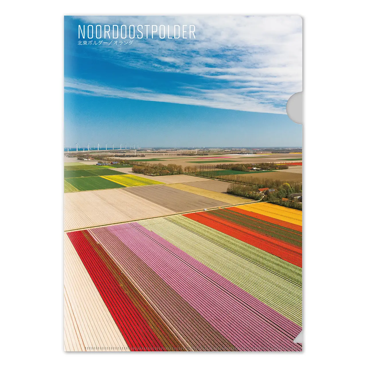【北東ポルダー（オランダ）】Map World クリアファイル