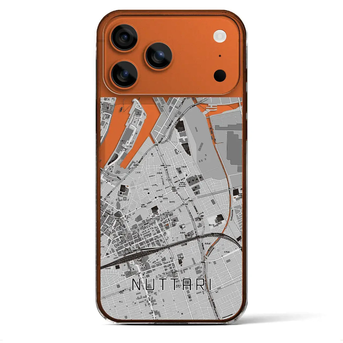 【沼垂（新潟県）】地図柄iPhoneケース（クリアタイプ）モノトーン・iPhone 17 Pro Max 用
