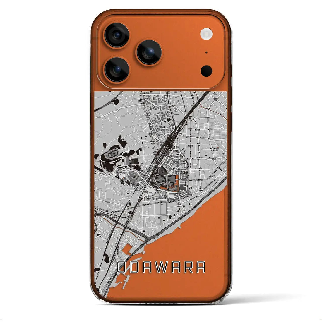【小田原（神奈川県）】地図柄iPhoneケース（クリアタイプ）モノトーン・iPhone 17 Pro Max 用