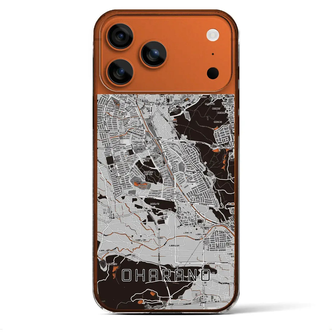 【大原野（京都府）】地図柄iPhoneケース（クリアタイプ）モノトーン・iPhone 17 Pro Max 用
