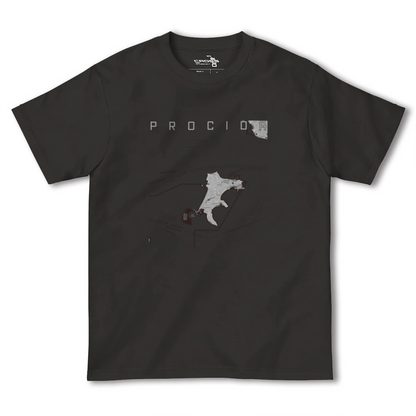 【プローチダ（イタリア）】地図柄ヘビーウェイトTシャツ