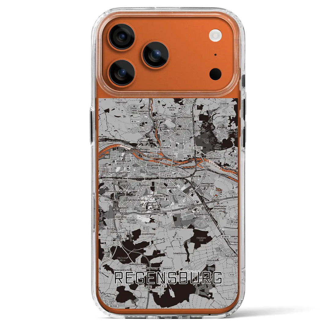 【レーゲンスブルク（ドイツ）】地図柄iPhoneケース（MagSafeタイプ）モノトーン・iPhone 17 Pro Max 用