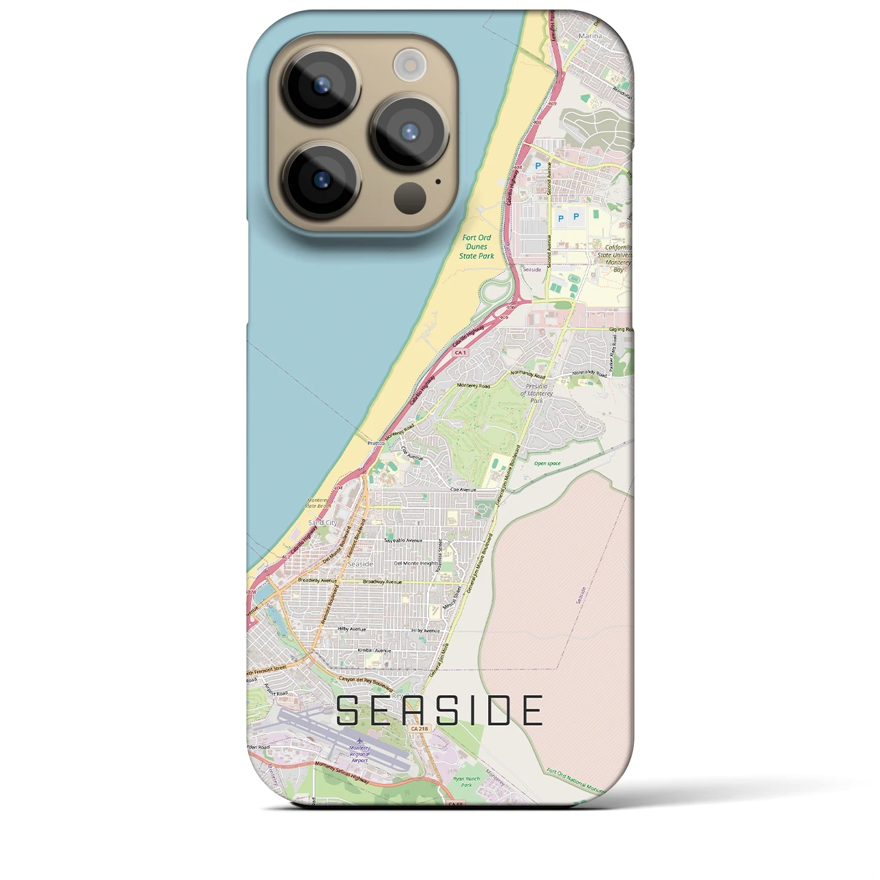 【シーサイド（アメリカ）】地図柄iPhoneケース（バックカバータイプ）