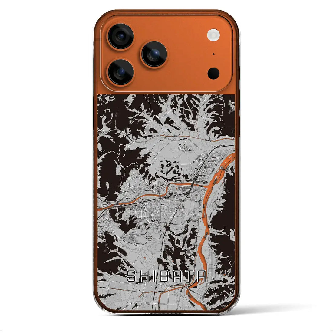 【柴田(宮城県)】地図柄iPhoneケース(クリアタイプ)モノトーン・iPhone 17 Pro Max 用