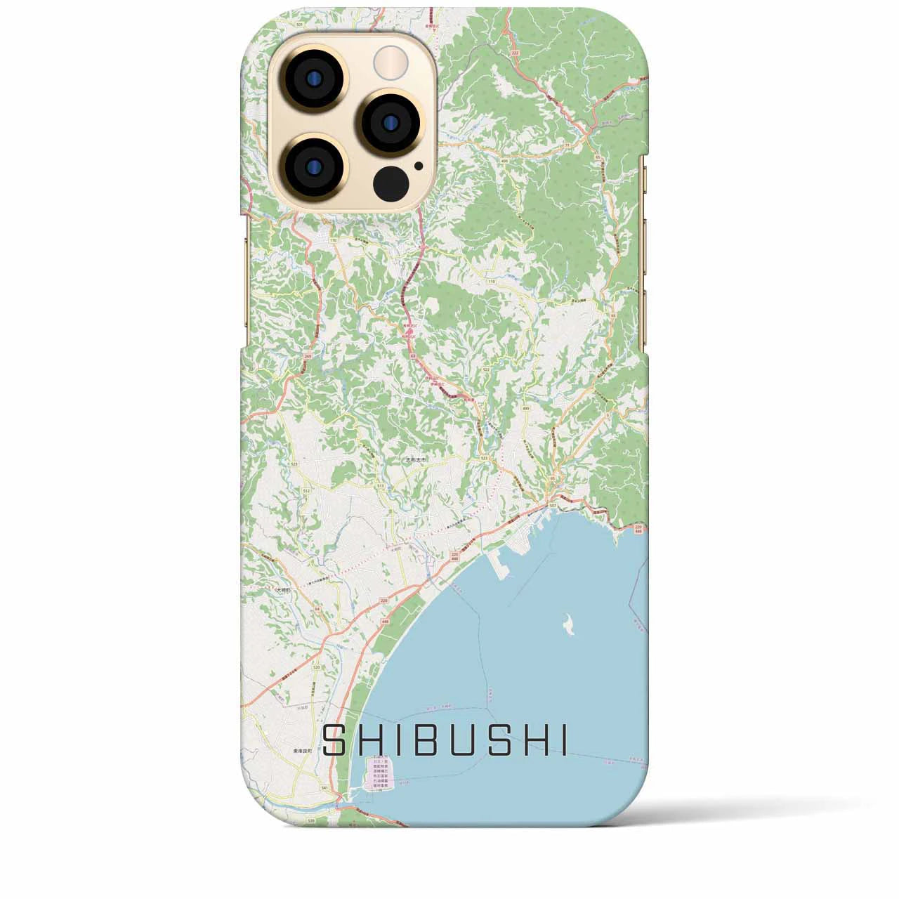 【志布志（鹿児島県）】地図柄iPhoneケース（バックカバータイプ）