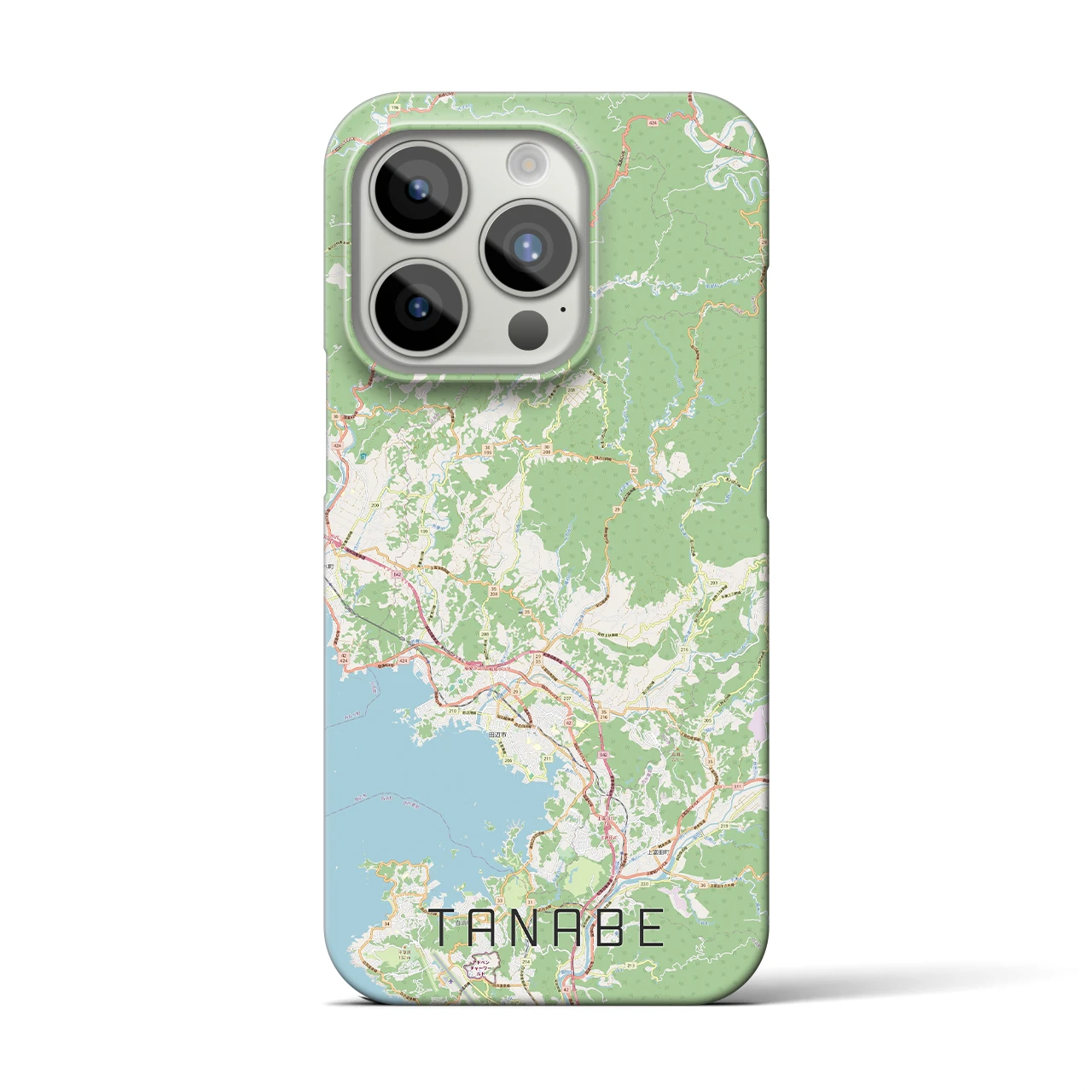 【田辺】地図柄iPhoneケース（バックカバータイプ・ナチュラル）iPhone 15 Pro 用