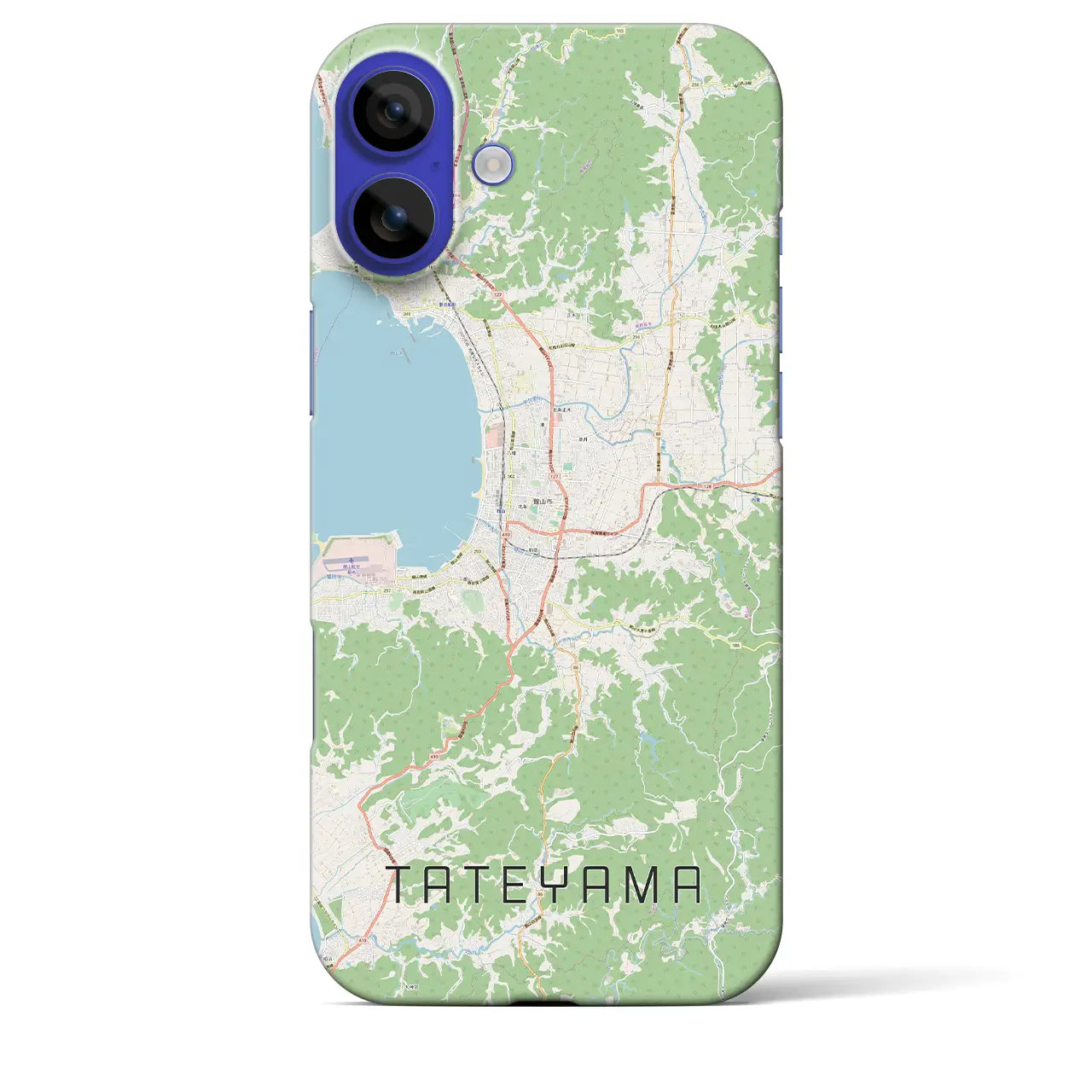 【館山（千葉県）】地図柄iPhoneケース（バックカバータイプ）ナチュラル・iPhone 16 Pro Max 用