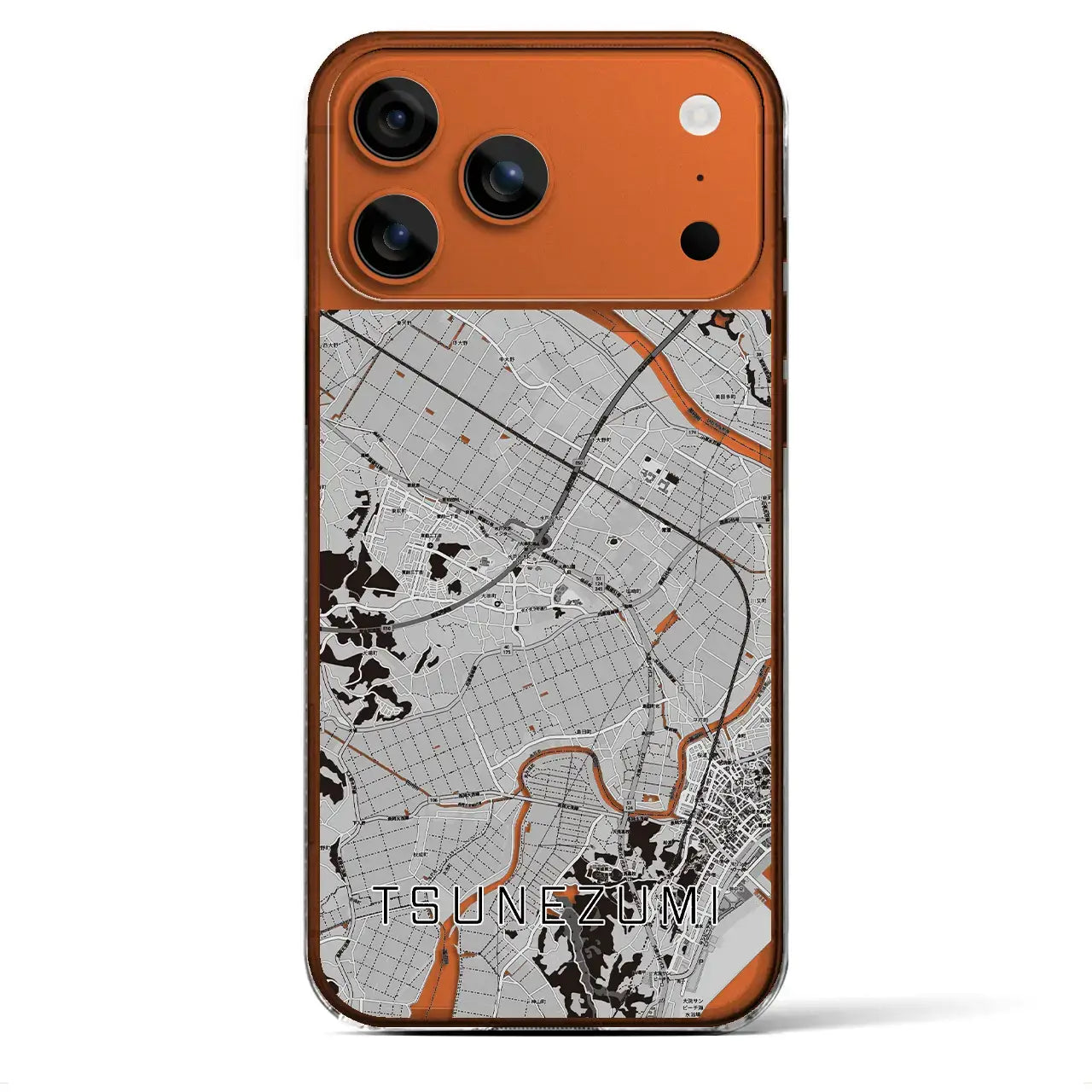 【常澄（茨城県）】地図柄iPhoneケース（クリアタイプ）モノトーン・iPhone 17 Pro Max 用
