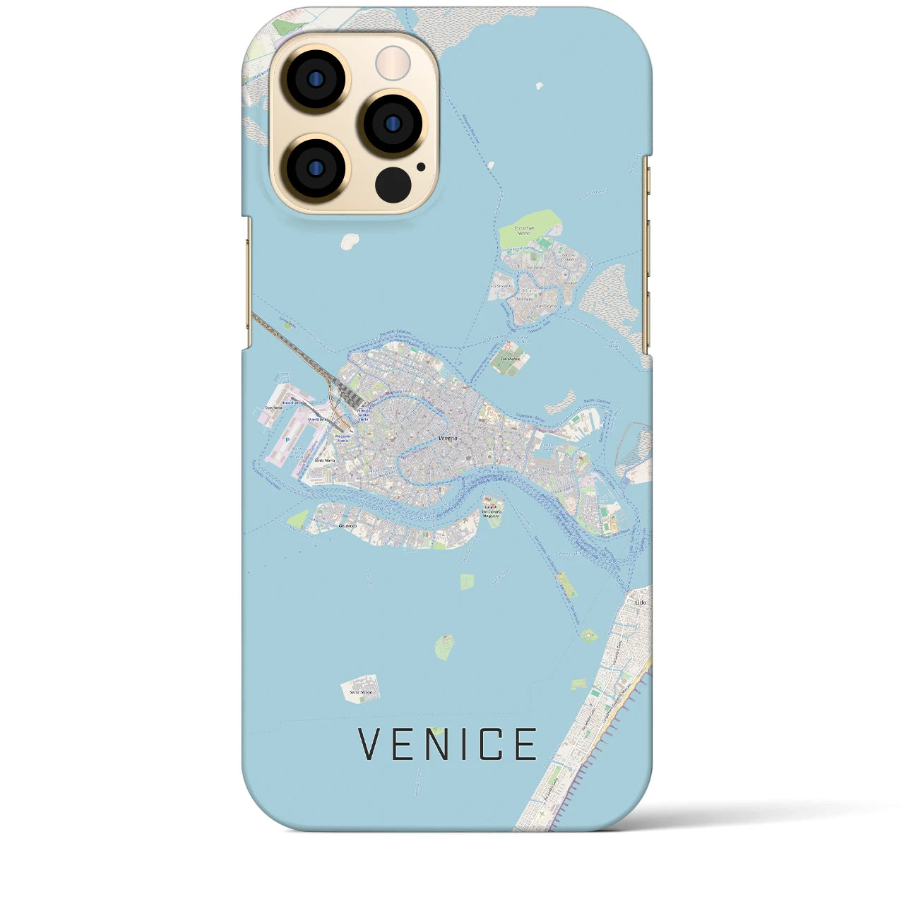 【ヴェネツィア2】地図柄iPhoneケース（バックカバータイプ・ナチュラル）iPhone 12 Pro Max 用