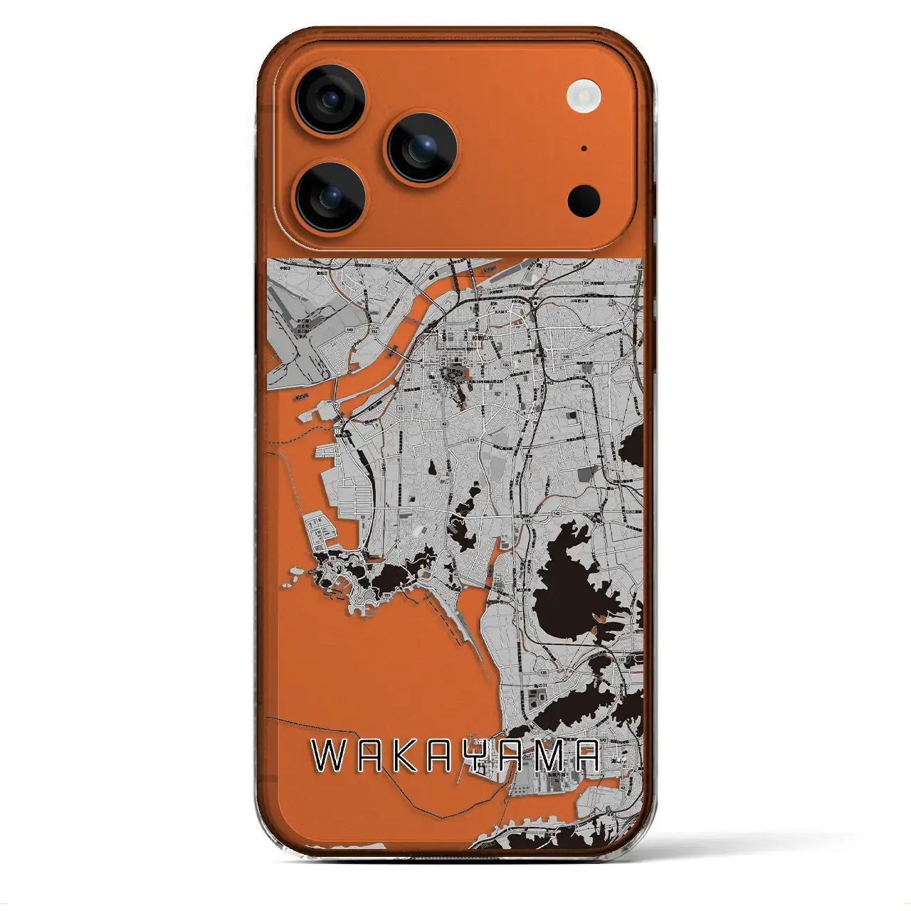 【和歌山（和歌山県）】地図柄iPhoneケース（クリアタイプ）モノトーン・iPhone 17 Pro Max 用