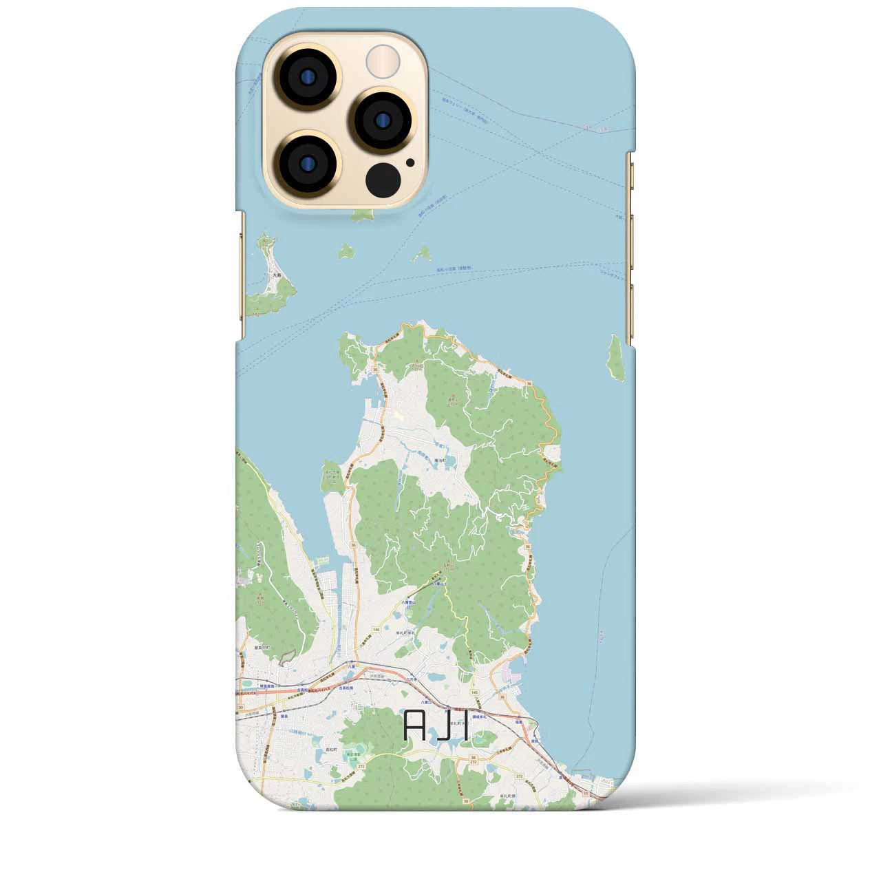 【庵治】地図柄iPhoneケース（バックカバータイプ・ナチュラル）iPhone 12 Pro Max 用