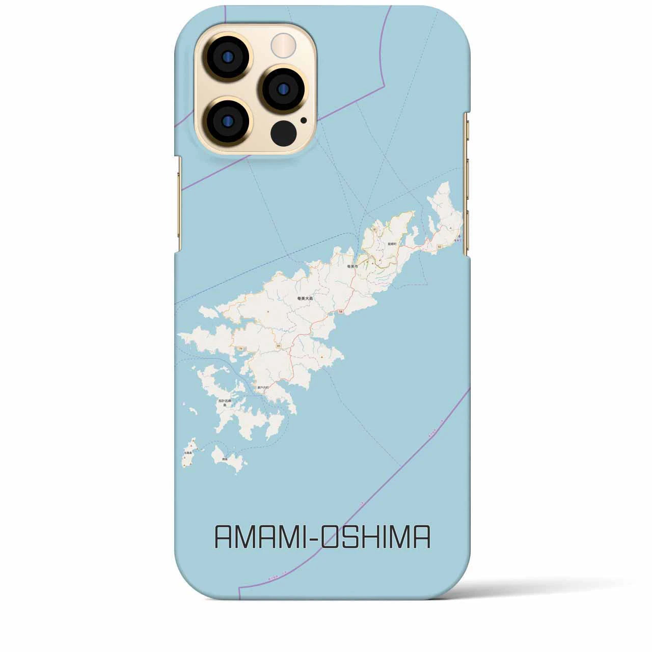 【奄美大島】地図柄iPhoneケース（バックカバータイプ・ナチュラル）iPhone 12 Pro Max 用
