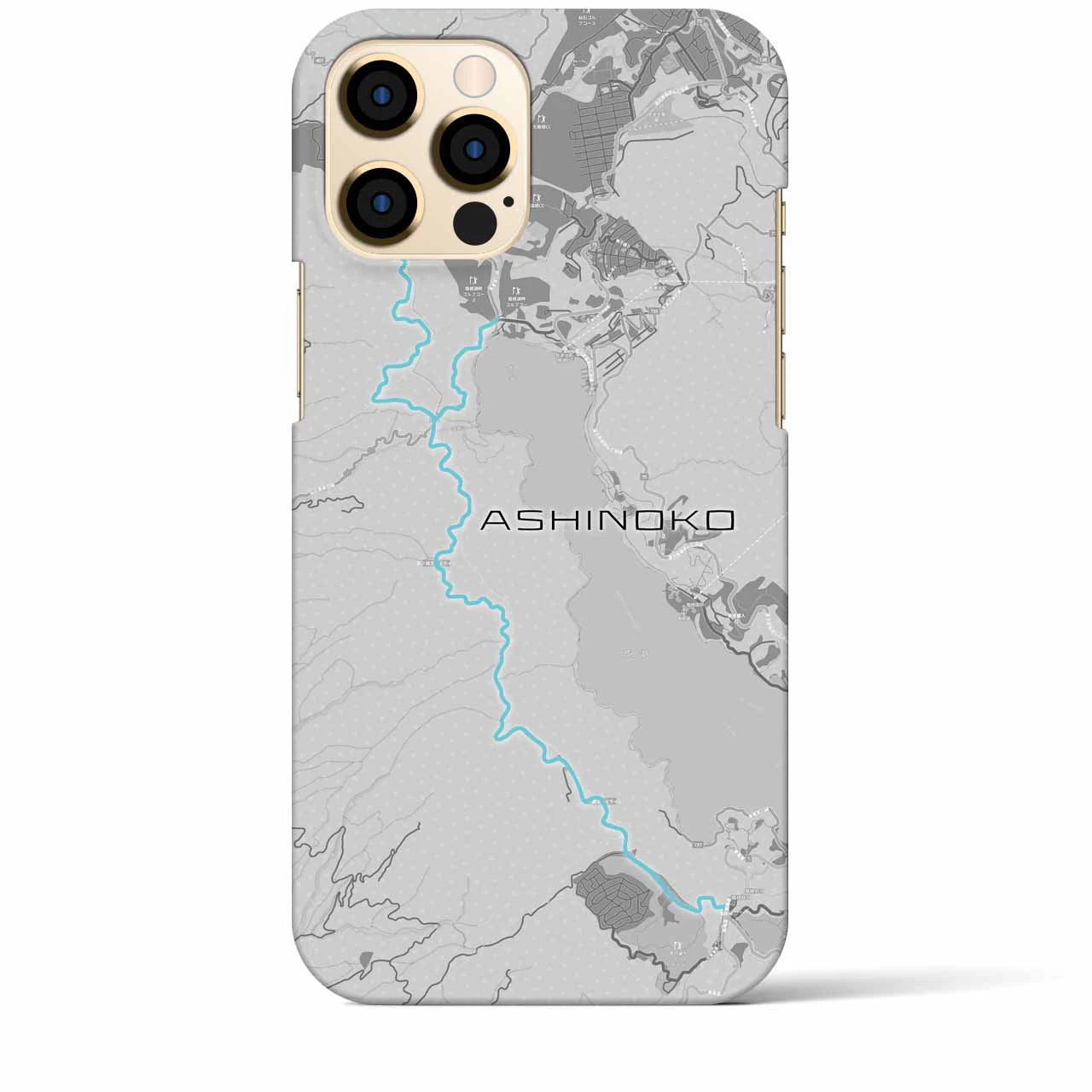 Recipro × Crossfield【芦ノ湖】地図柄iPhoneケース（バックカバータイプ・アッシュ）iPhone 12 Pro Max 用