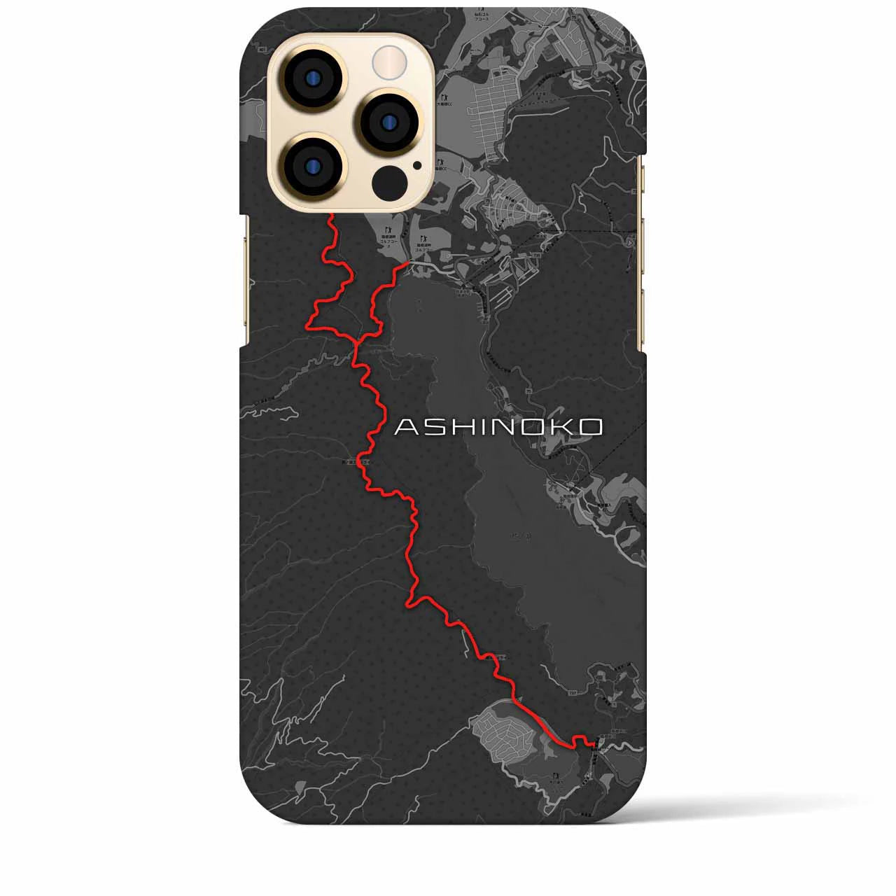 Recipro × Crossfield【芦ノ湖】地図柄iPhoneケース（バックカバータイプ・チャコール）iPhone 12 Pro Max 用