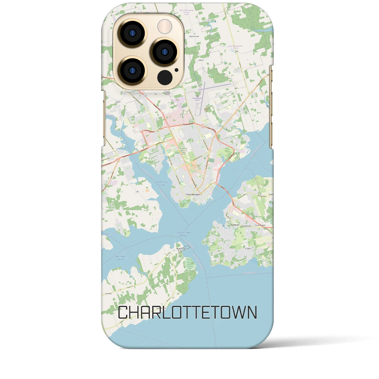 【シャーロットタウン】地図柄iPhoneケース（バックカバータイプ・ナチュラル）iPhone 12 Pro Max 用