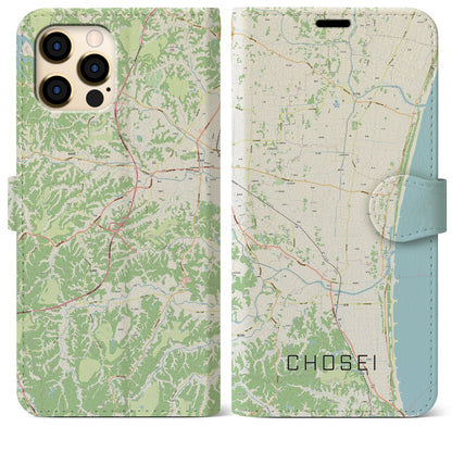 【長生（千葉県）】地図柄iPhoneケース（手帳タイプ）ナチュラル・iPhone 12 Pro Max 用