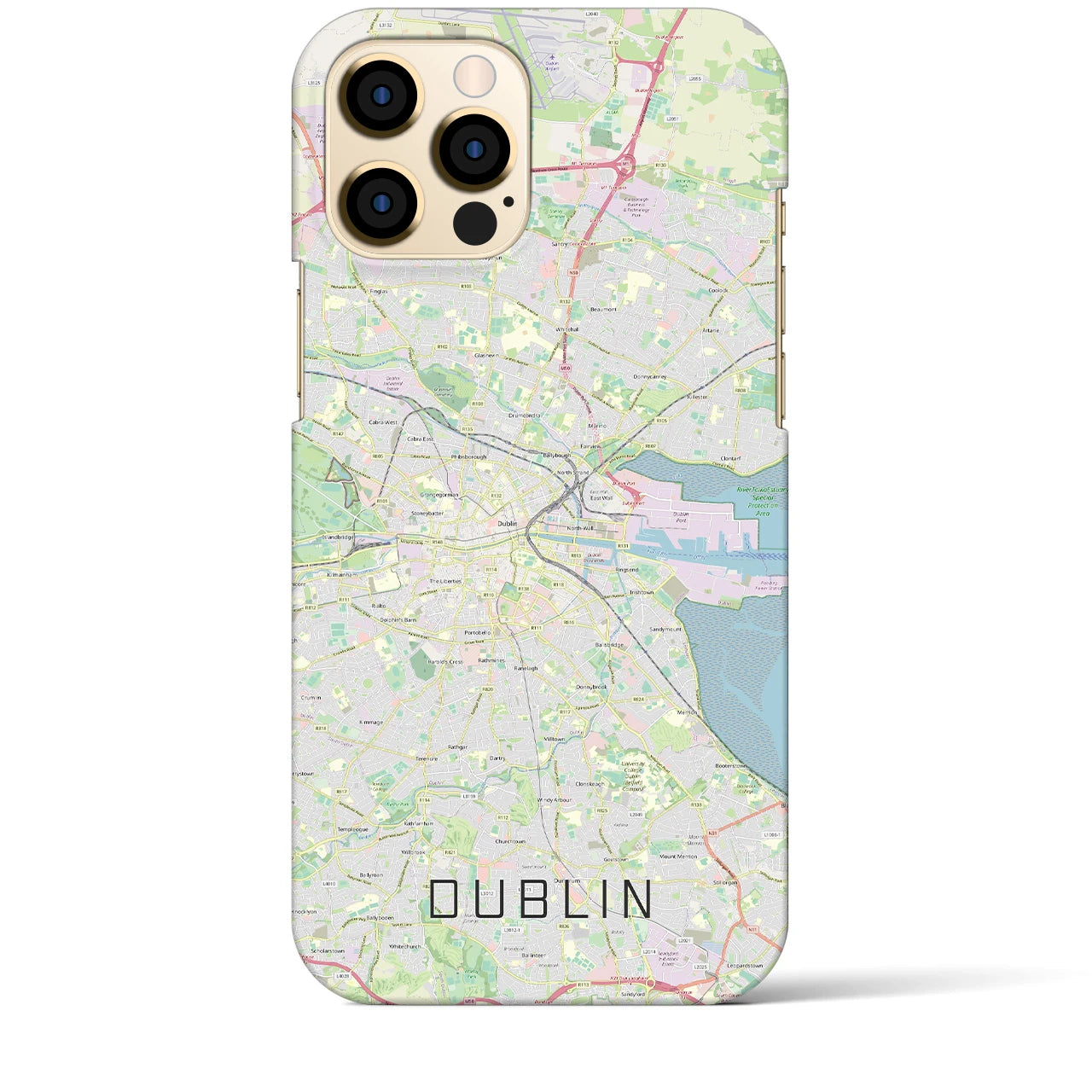 【ダブリン】地図柄iPhoneケース（バックカバータイプ・ナチュラル）iPhone 12 Pro Max 用