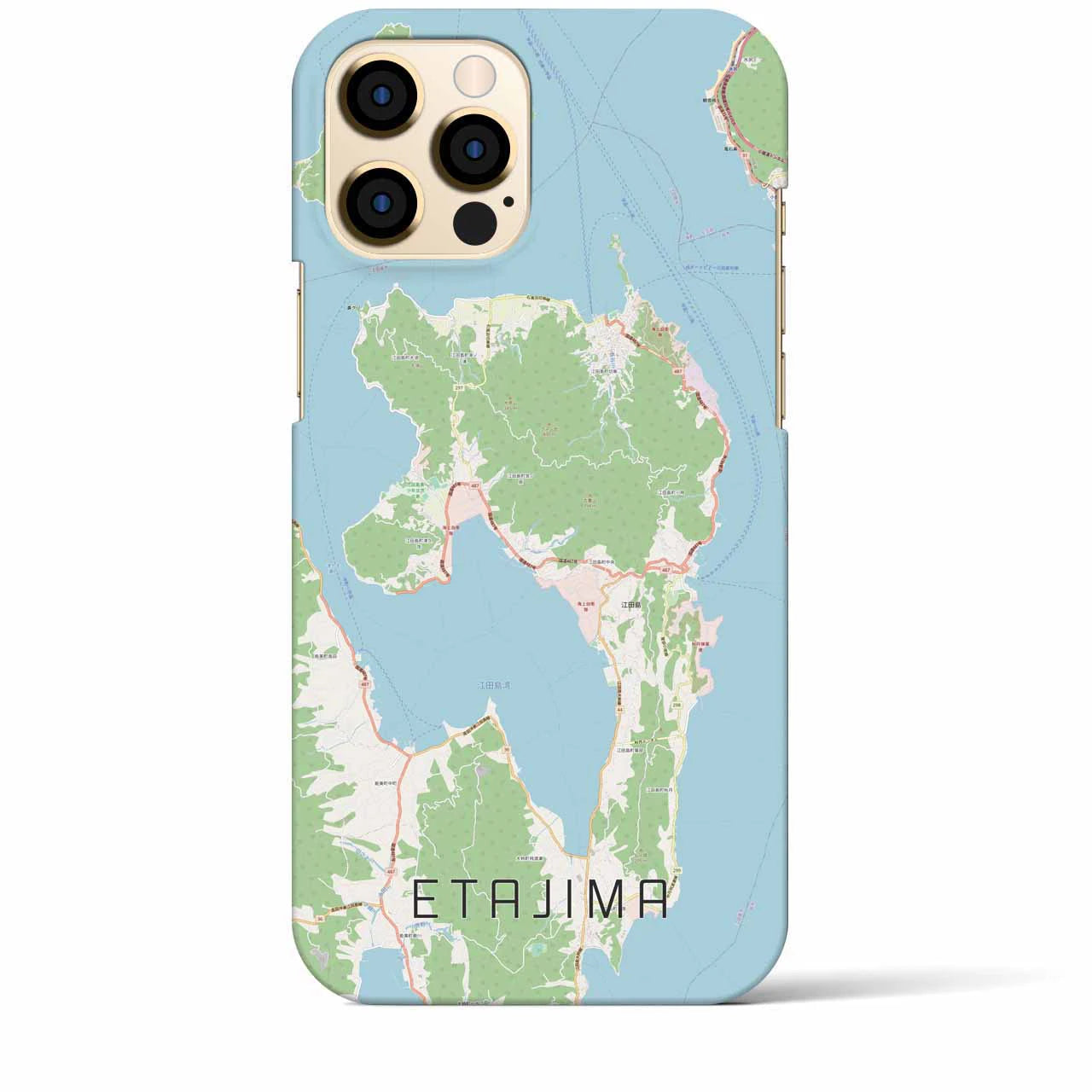 【江田島】地図柄iPhoneケース（バックカバータイプ・ナチュラル）iPhone 12 Pro Max 用