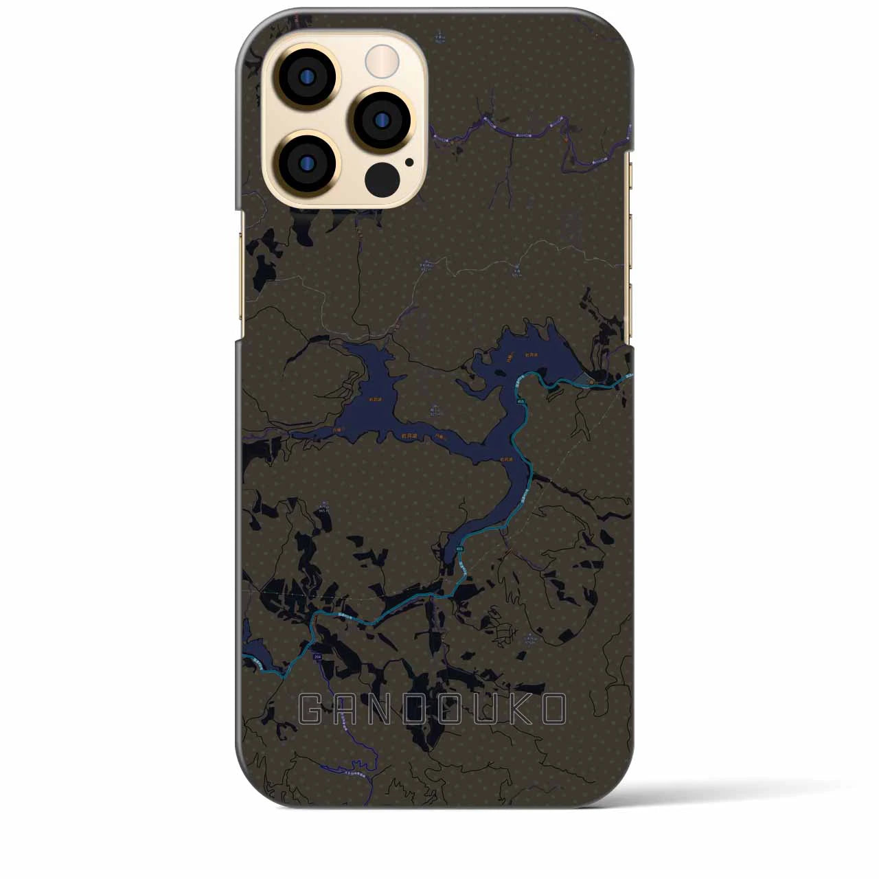 【岩洞湖】地図柄iPhoneケース（バックカバータイプ・ブラック）iPhone 12 Pro Max 用